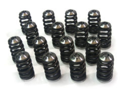 Magnus 4G63 Valve Springs