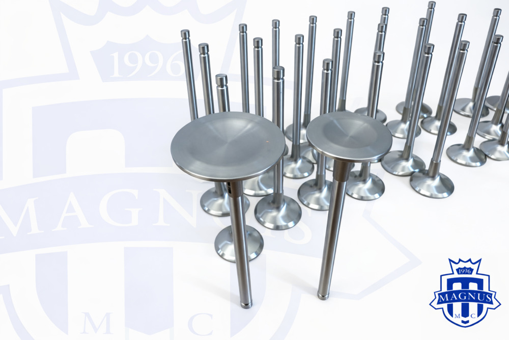 MMCENG7215 Magnus Mclaren M838 and 840 Stainless Super Alloy Valves1